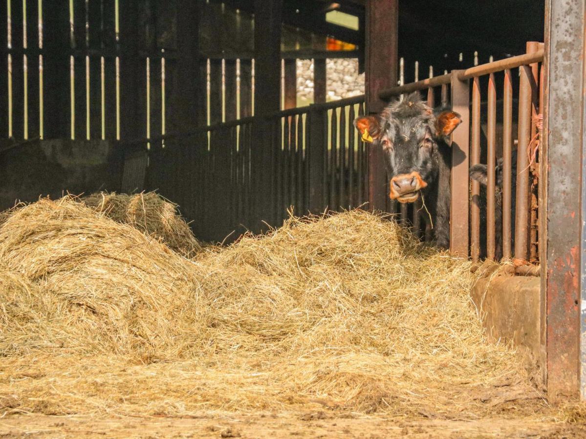 Stable Cottage 柯比斯蒂芬 外观 照片